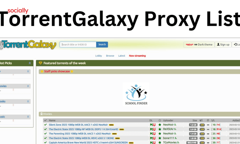 torrentgalaxy proxy 2025, tgx mirror sites, torrentgalaxy mirror 2025, torrentgalaxy unblocked, torrentgalaxy alternatives, torrentgalaxy streaming, torrentgalaxy not working, tgx proxy list, is torrentgalaxy safe, torrentgalaxy download